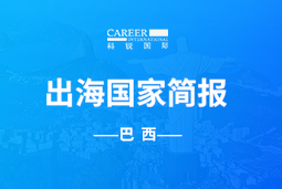 Ebpay电子GO GLOBAL | 巴西国家简报