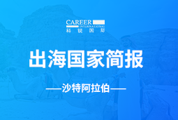 Ebpay电子GO GLOBAL | 沙特阿拉伯国家简报